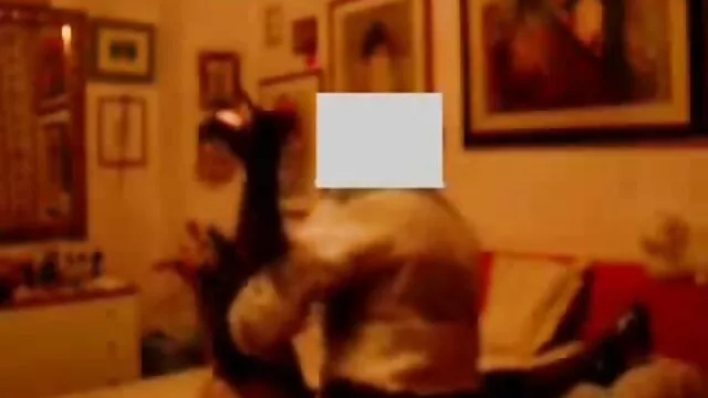 Dos jóvenes gays rubios follan en el hentai xxx en español sofá