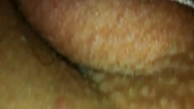 Punto De Vista