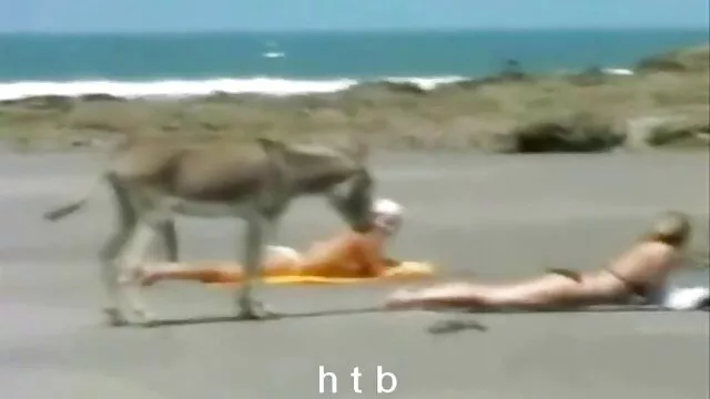 Un tio lindo le pone a una bebe peliculas eroticas tube pelirroja en un pene y se la folla