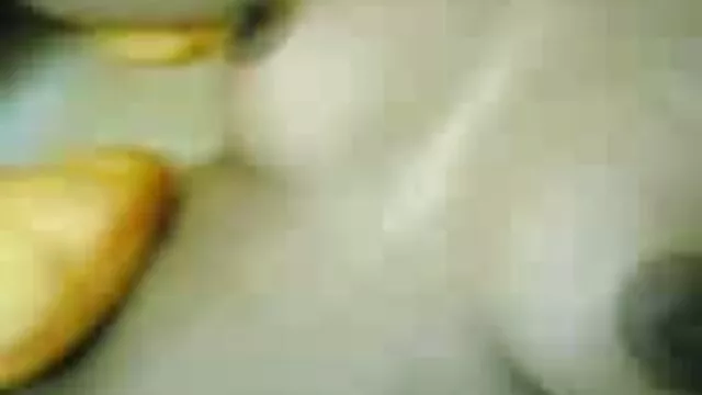 Disfruta de este cuarteto amateur de viejos y jóvenes mientras intercambian a sus esposas por un zumbido enorme porno gratis castellano
